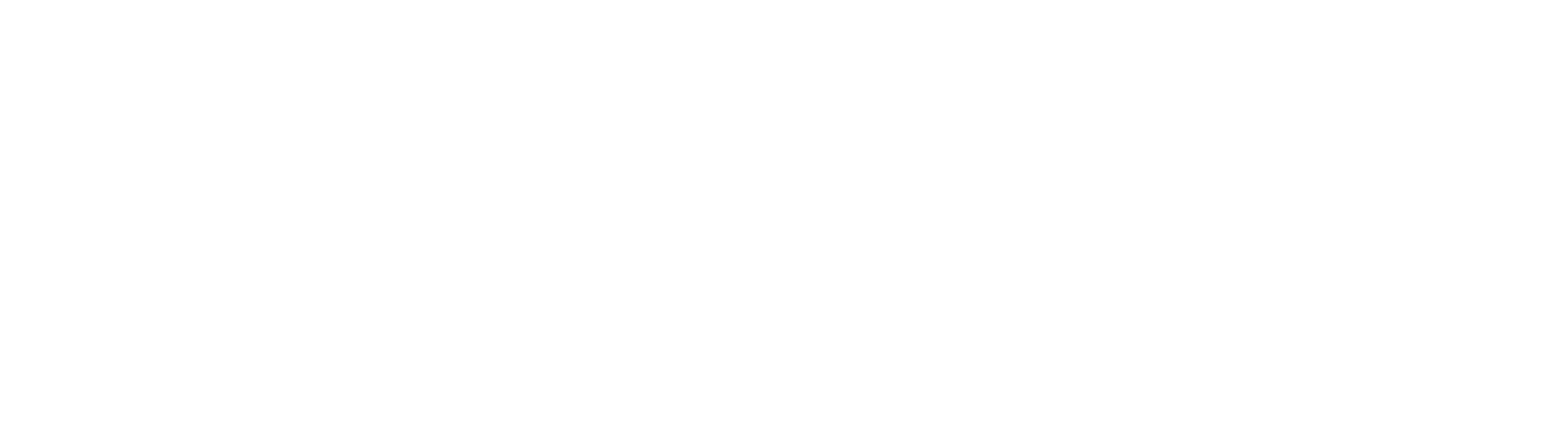 RMS Investment